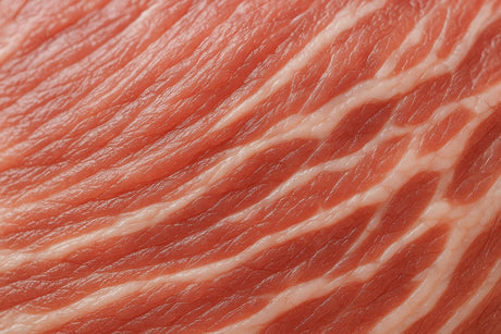 Taste and Texture: Key to Cultivated Meat Success